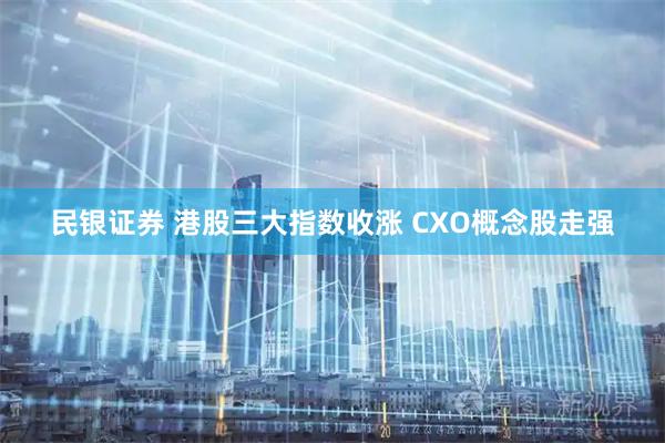 民银证券 港股三大指数收涨 CXO概念股走强