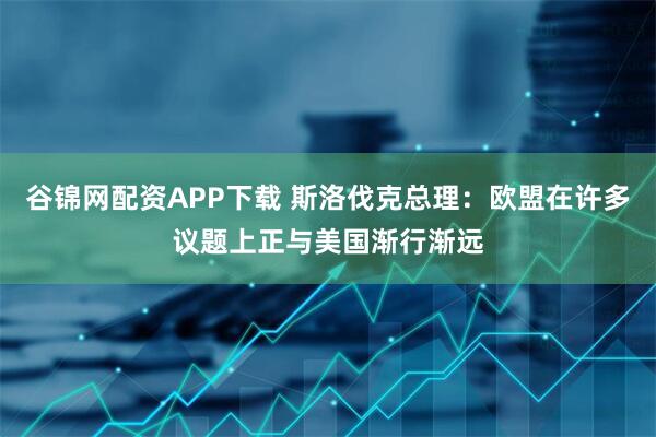 谷锦网配资APP下载 斯洛伐克总理：欧盟在许多议题上正与美国渐行渐远